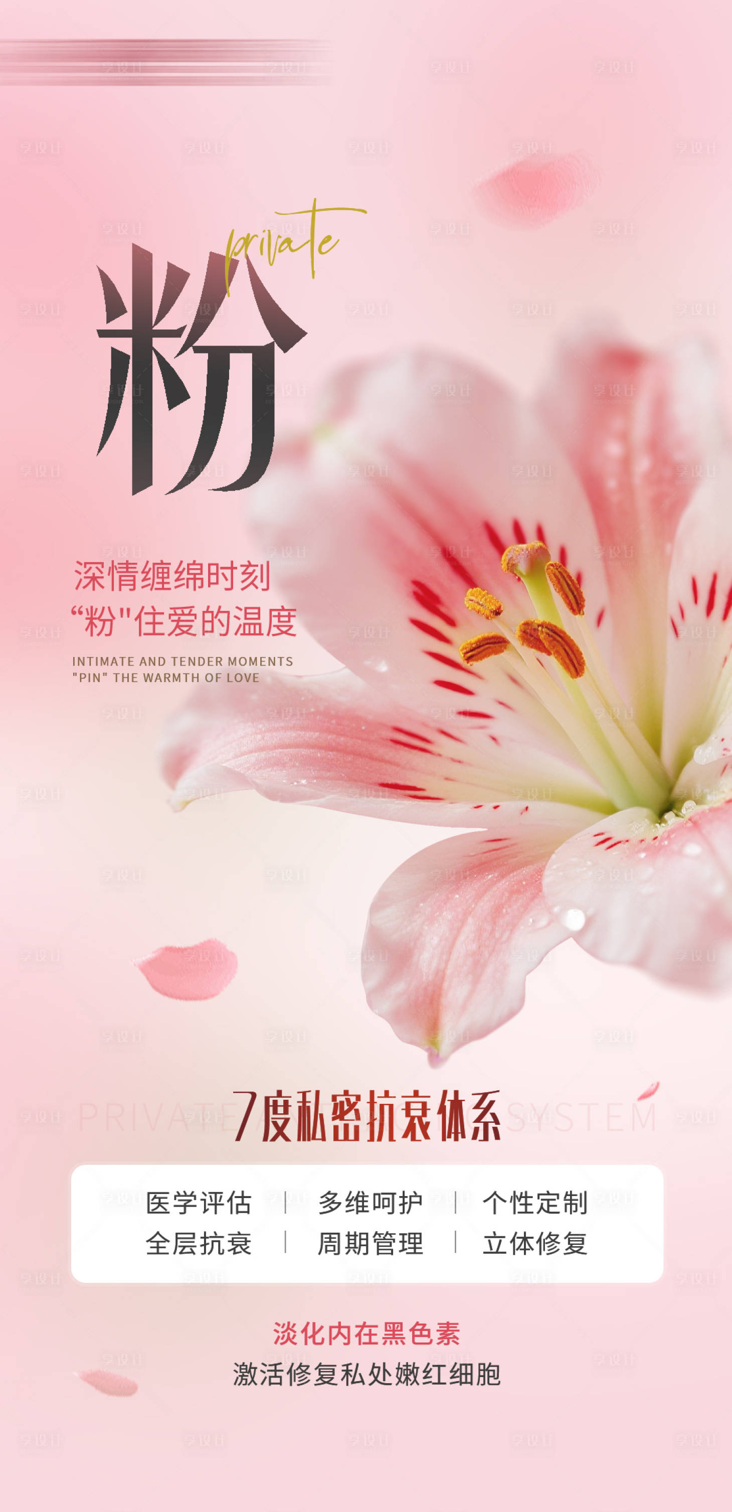 源文件下载【享设计】搜索编号：36920036702025746【私密粉海报】
