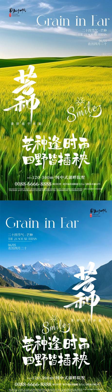 源文件下载【享设计】搜索编号：43010037012483491【芒种传统节气稻田风景海报】