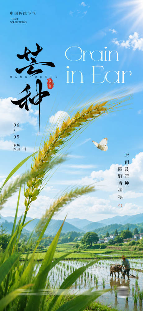源文件下载【享设计】搜索编号：52570036960182956【芒种节气海报】