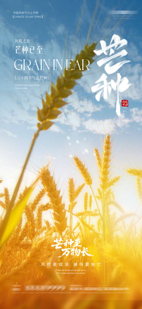 源文件下载【享设计】搜索编号：47920037155361370【芒种】
