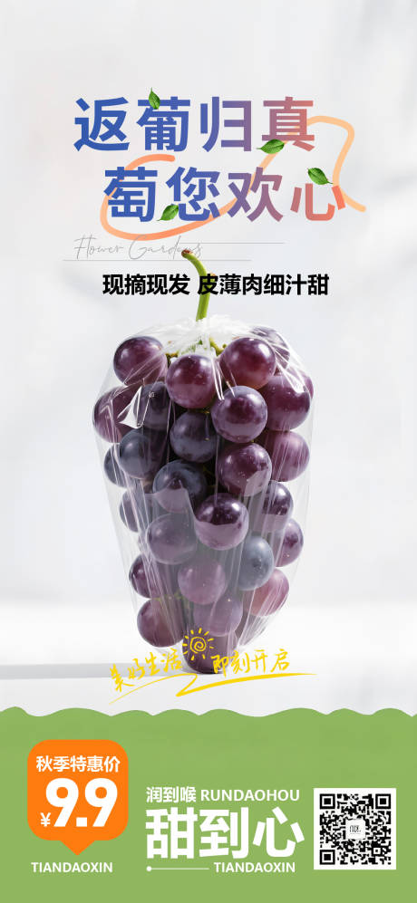 源文件下载【享设计】搜索编号：50460037257762316【葡萄团购海报】