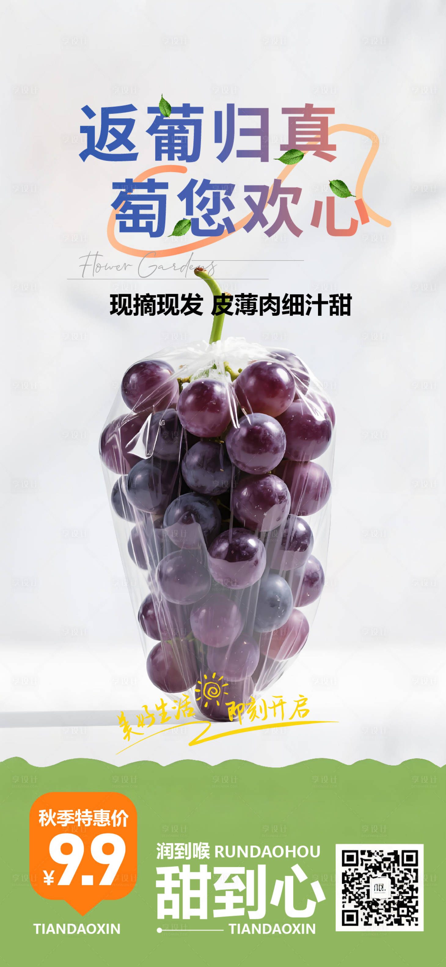 源文件下载【享设计】搜索编号：50460037257762316【葡萄团购海报】