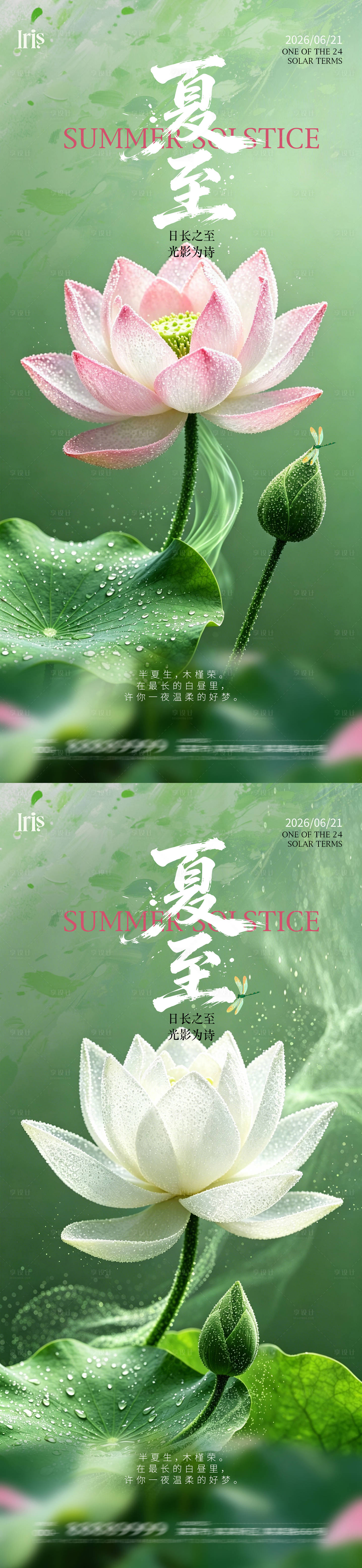 源文件下载【享设计】搜索编号：98310037271057861【夏至节气海报   】