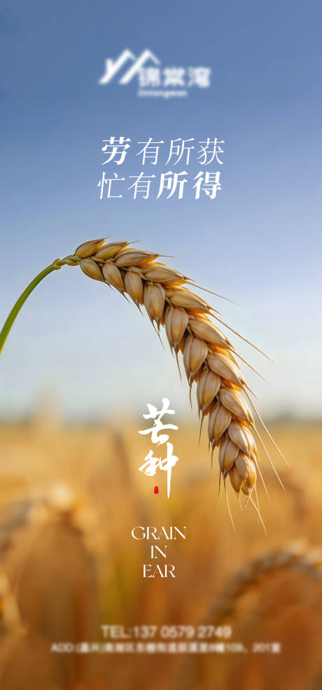 源文件下载【享设计】搜索编号：79530037145552483【芒种节气海报】