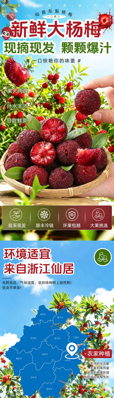 源文件下载【享设计】搜索编号：41940037172366650【杨梅】