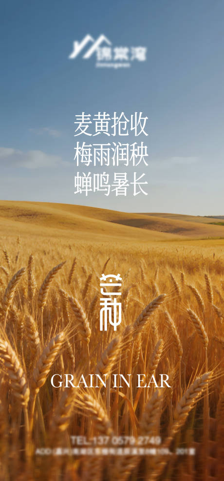 源文件下载【享设计】搜索编号：28850037145255871【芒种节气海报】