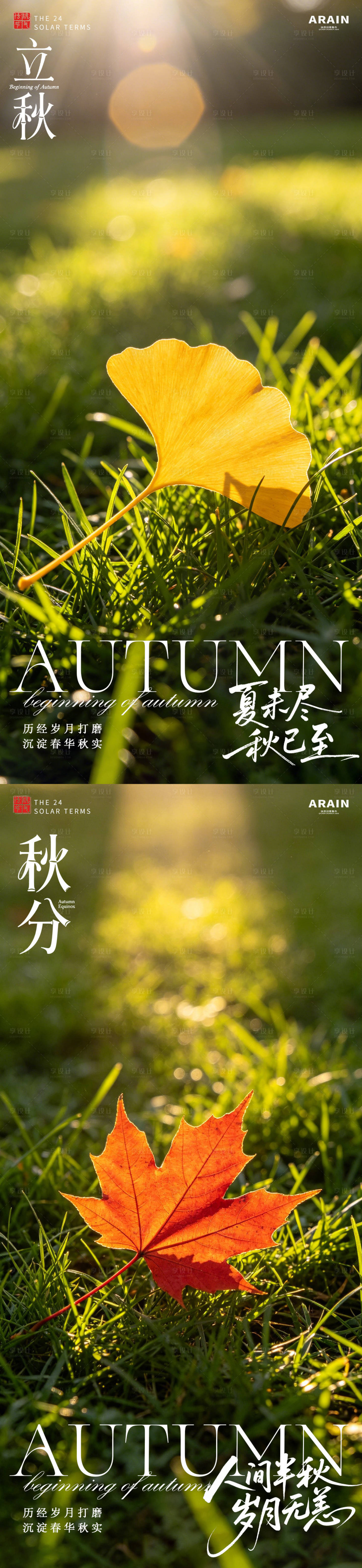 源文件下载【享设计】搜索编号：11410037912046684【立秋秋分简约枫叶摄影海报】