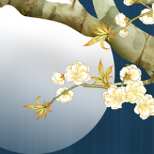 迷糊的小九头像