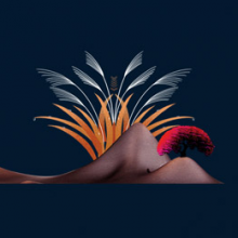 嘛咔叭咔♡头像