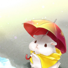浅陌头像