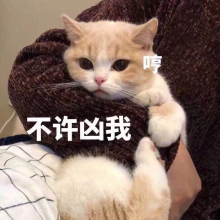 努力吃肉肉呀头像