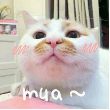 做设计的鸡腿头像