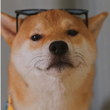 下辈子不当设计头像