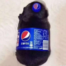 崔·催·催·头像