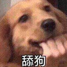 你看我像舔狗吗头像