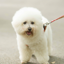 五感策划设计头像