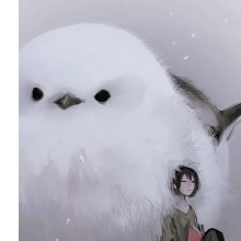 啾啾啾头像