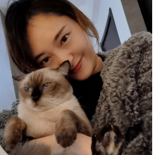 吃喵dě鱼????头像