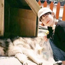 麋鹿迷了路头像