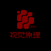 视觉原理头像
