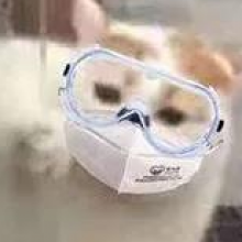 花花幼稚园小朋友头像