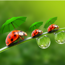 花开花飞花似画头像