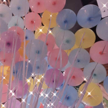 一只布丁，头像