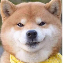 忆尘不染头像