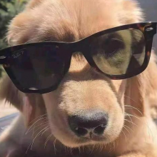 泡芙卷的泡芙头像