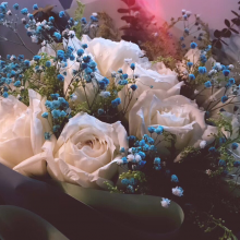 路姚知马力头像