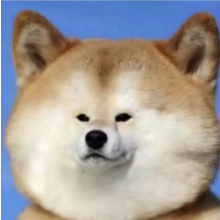北苼头像