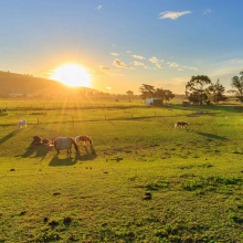 素年锦时头像