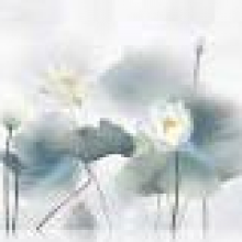 笙笙不夕°头像