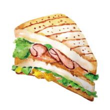 香菜猫饼头像