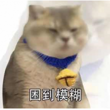 kitty头像