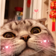 念_安头像