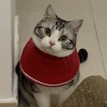 无敌小花花头像