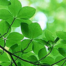 我就来看看头像