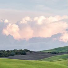 小啊小二胖头像