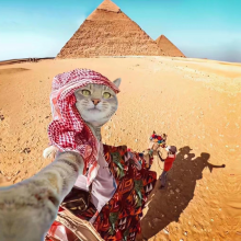 米兰的小铁匠头像