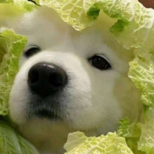 超超级大帅哥头像