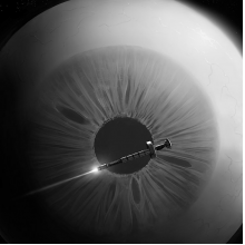 非著名舌技师头像