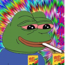 狗子桐头像