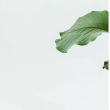 律动的笔尖头像