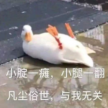 板蓝根炖大鹅头像