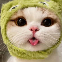 美丽不美丽了头像