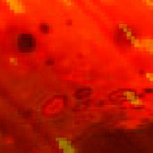 伟大的小辰辰头像