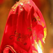 累了毁灭吧头像