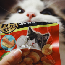 不知名作家头像