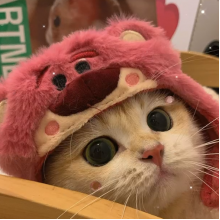 ????头像